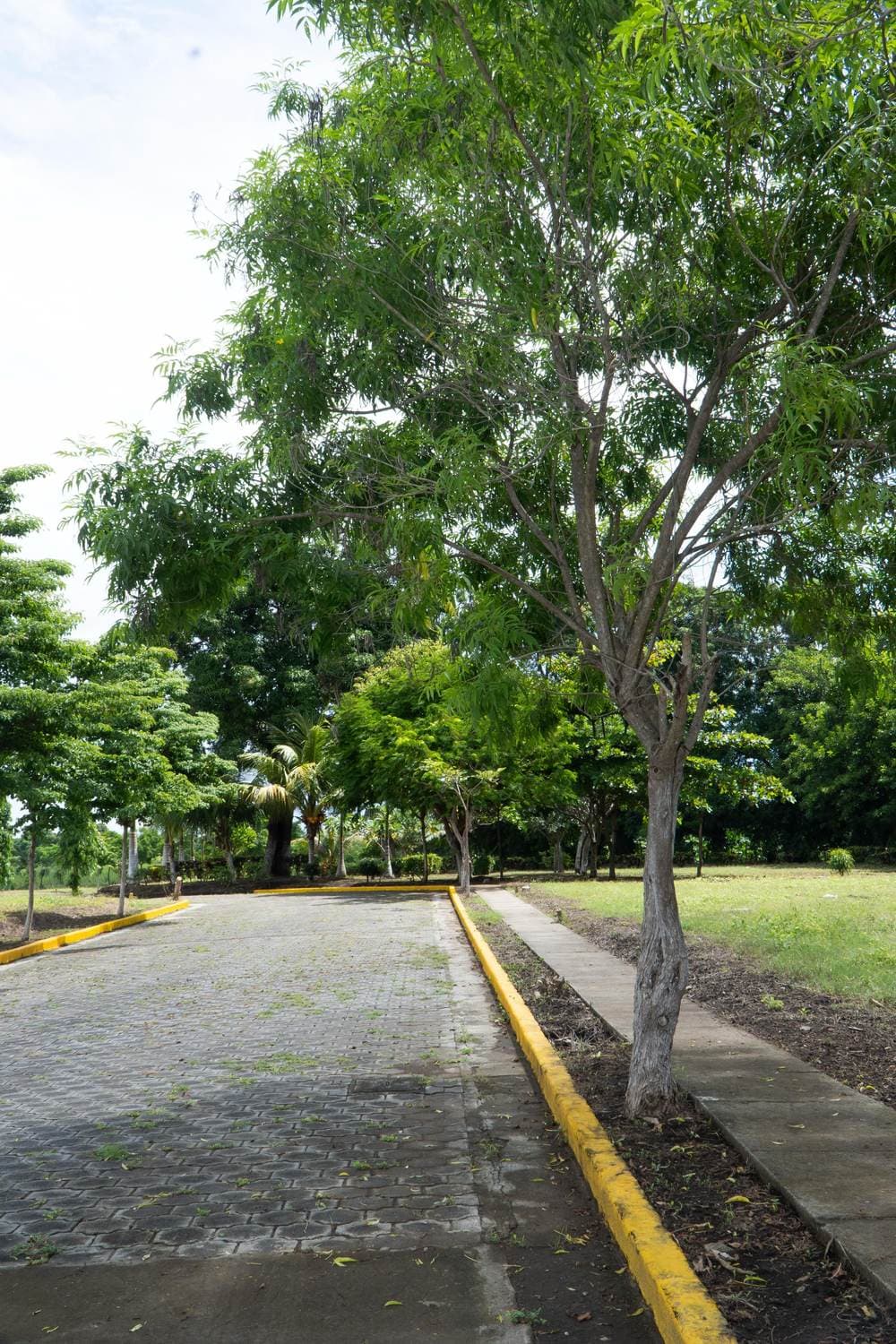 Villa Reina I — imagen 3