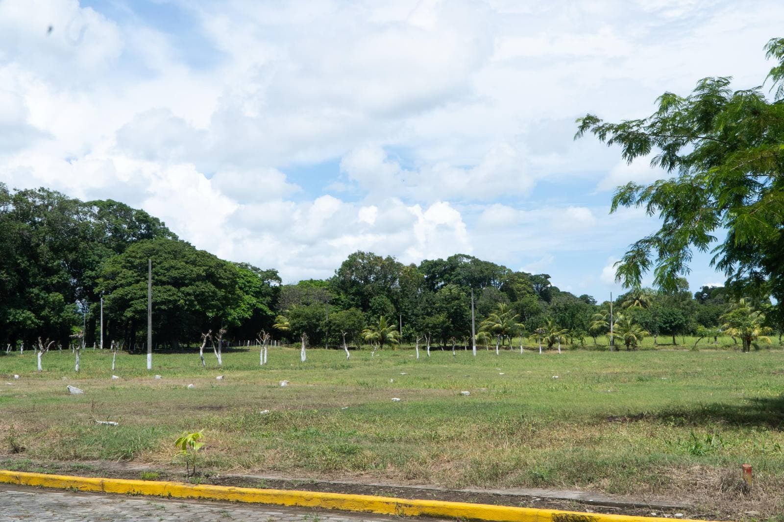 Villa Reina I — imagen 4